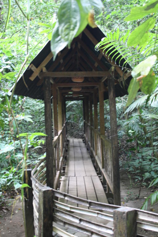 Reserva Ecologica Nanciyaga Catemaco Exterior foto