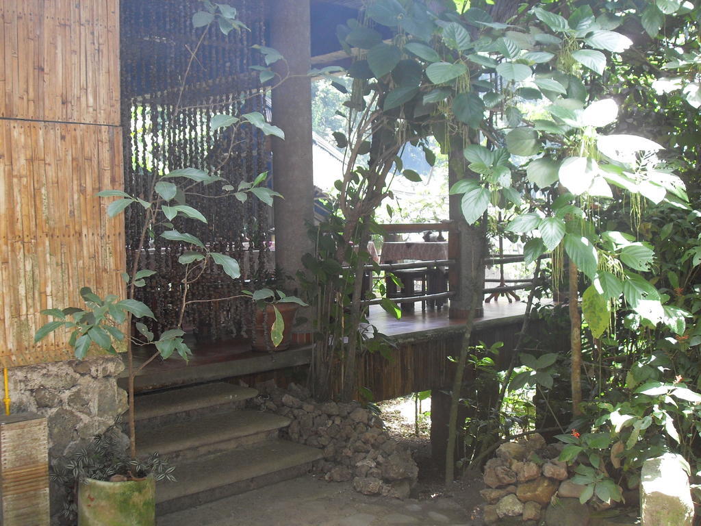 Reserva Ecologica Nanciyaga Catemaco Exterior foto
